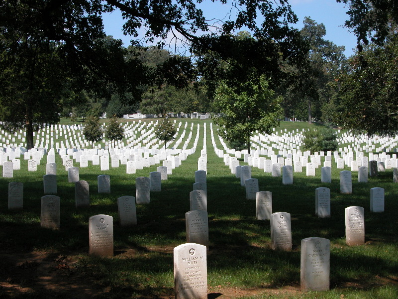 arlington_ (1)sm.jpg